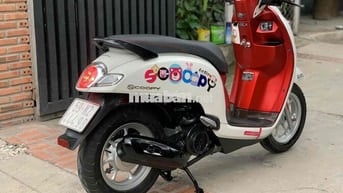scoopy 2020