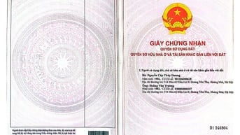 🏡 BÁN LÔ ĐẤT CHÍNH CHỦ TẠI TUY LAI, MỸ ĐỨC – GẦN TRƯỜNG HỌC, HỒ ĐIỀU 