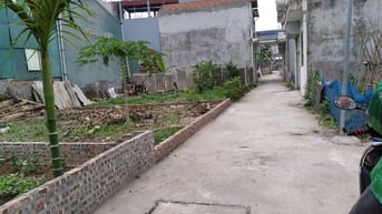 Bán đất thôn 3 Vạn Phúc - Thanh Trì. DT 58m, MT 8.3m. Ô tô tải vào tận