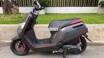 Honda Dunk bản đặc biệt