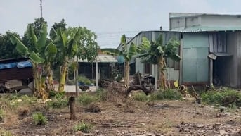 Bán đất thổ cư diện tích lớn tại Bàu Đồn Tây Ninh