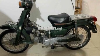 honda cup 50 zin