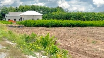 Bán Rẻ Miếng Đất Mặt Tiền Đường Liên Huyện DH519, Diện tích 550m2