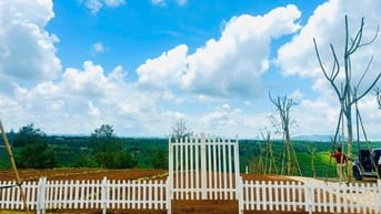 Đầu tư siêu lời 156m² đất sát Quốc Lộ 20, Di Linh chỉ với 286 triệu
