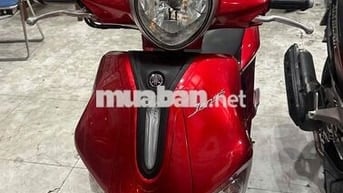 xe giá gẻ