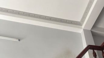 Chính chủ bán 37m tân kỳ tân quý F tân sơn Nhì 3.695 tỷ 
