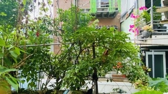 🔥 SIÊU HÓT - BÁN NHÀ TÂN HƯNG QUẬN 7 – GIÁ CHỈ 9.99 TỶ 🔥