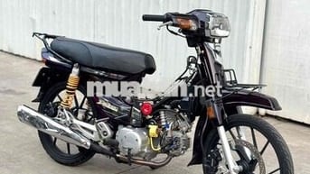 dream thái 98 bstp 9 chủ full kiểng