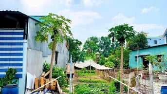 Bán đất gần Sân vận động Củ Chi 5x27 135m2 Gần full thổ cư có 119m2