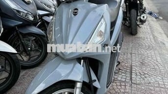 shark 50cc-2023