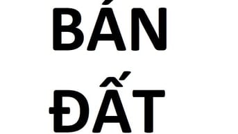 Bán 284m2 đất nền thổ cư tại thị trấn Thường Tín, mặt tiền 6m