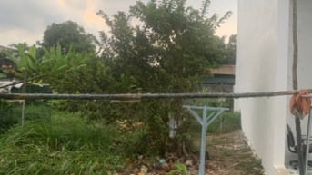 Đất thổ cư sổ hồng riêng xây dựng tự do