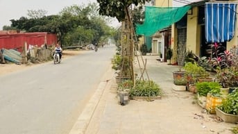 Chính chủ bán đất mặt đường Vân Canh, Hoài Đức, Hà Nội