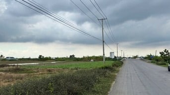 ĐẤT MẶT TIỀN XÃ LONG BÌNH- GÒ CÔNG TÂY - 303M2  SỔ SẴN CÔNG CHỨNG LIỀN