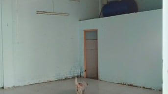 cho thuê nhà vườn 400m2 tân xuân hóc môn