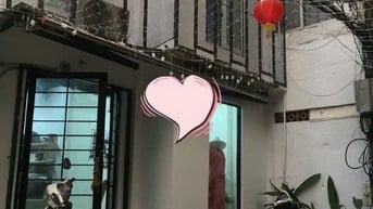Nhà hẻm làm văn phòng , nguyên căn.