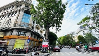CHO THUÊ NHÀ HẠ HỒI - HOÀN KIẾM