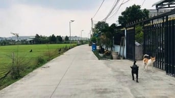 Chính chủ bán nhanh lô đất, 95m2, Tân Phú Trung, SHR, 995tr
