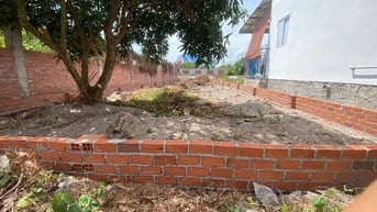 Bán cây xoài tặng lô đất Lộc An Hồ Tràm cách biển 800m