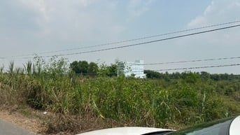 Bán đất mặt tiền đường Trần Văn Trà 100x100m Bình Phong Thạnh- Long An