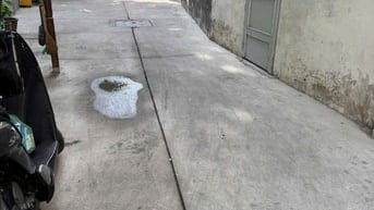 HXH TRần Bình Trọng Q5 / DT 3.8m X 10m Giá:6tỷ5