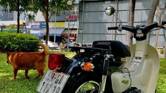 Bán xe honda little cúp 14 ,hqcn