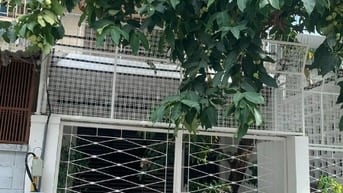 BÁN NHÀ HXH ĐƯỜNG HAI BÀ TRƯNG P. VÕ THỊ SÁU QUẬN 3