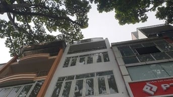 Cho thuê nhà mặt tiền kinh doanh đường 3 Tháng 2, Phường 12, Quận 10