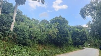 chuyển nhượng quyền sd đất, lô đất có 1---0---2  tại Hợp Thành, Kỳ Sơn