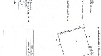 Cho thuê Thổ vườn giá rẽ, 5500m2, 200 thổ cư thương lương