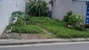 BÁN ĐẤT MẶT TIỀN KINH DOANH - ĐƯỜNG BA PHỤ, PHƯỜNG THẠNH XUÂN, Q12