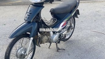 Bán anpha lốc trắng