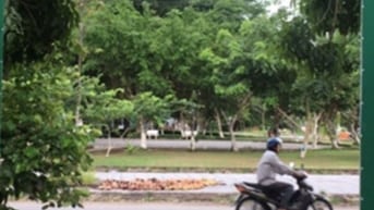  CHO THUÊ KHO + VĂN PHÒNG Vị trí đắc địa cạnh Siêu thi AEON