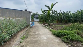 Bán lô đất 60m2 tại Kiều Hạ, Quốc Tuấn, An Dương, Hải Phòng. Giá 760 t