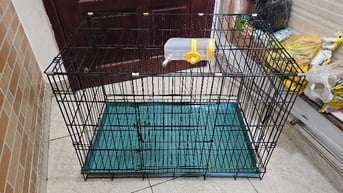 Lồng chó lớn loại dầy xếp gọn xài rồi còn mới