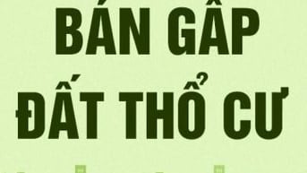 Cần bán gấp đất ấp Bình Đức, xã Bình Lãng, huyện Tân Trụ, Long An