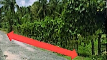 THÔNG BÁO ĐẤU GIÁ TÀI SẢN THEO THỦ TỤC RÚT GỌN