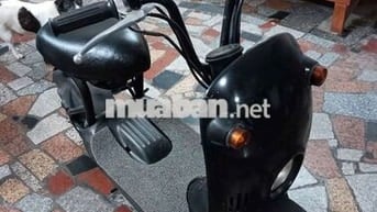 Xe cổ sưu tầm