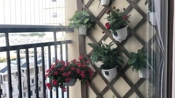 Chung cư Ruby Garden, Nguyễn Sỹ Sách, P15, TB, 80m2, 2PN, 10tr/tháng