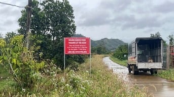 CTY ĐẤU GIÁ HỢP DANH TRỰC TUYẾN VIỆT NAM (VNOA) TỔ CHỨC ĐẤU GIÁ