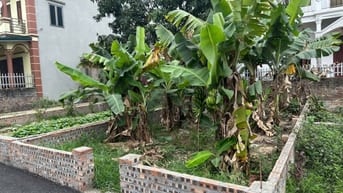Bán đất thôn Đồng Xã và thôn Sơn Du xã Nguyên Khê huyện Đông Anh
