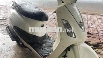 xe attila trắng biển phố