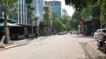 Chính chủ bán đất đấu giá tại Trần Thái Tông, Cầu Giấy