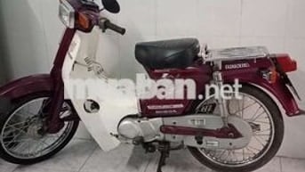 Xe Cúp 50