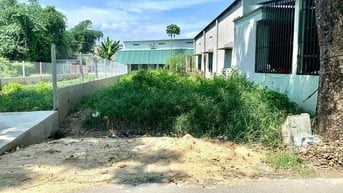 Bán gấp lô 178m2, sổ riêng, Tỉnh lộ 2 vào 500m, Phước Vĩnh An, 660tr