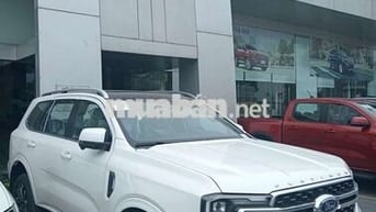 2025 Platinum 2.0L 4x4 AT