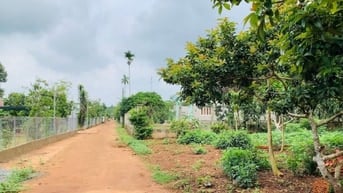 Bán 1.2ha đất vườn mít, sầu riêng tại Tân Phú, Đồng Nai, có 600m2 thổ 