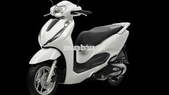 Xe mới chưa đăng ký