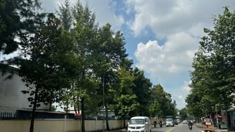 GẤP !  BÁN NHÀ MT 10M PHẠM VĂN BẠCH CHO THUÊ 30 TRIỆU P15 TÂN BÌNH