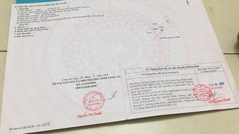 Bán Nhà Sổ Hồng, 1 Trệt, 1 Lầu Ấp Tân Phước, Xã Tân Kim, Cần Giuộc,